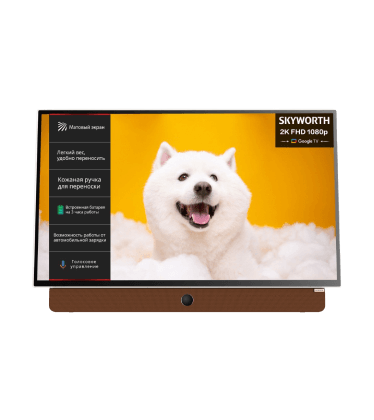 Портативные телевизоры